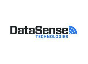 DataSense Logo